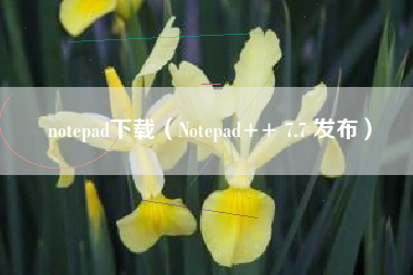 notepad下载（Notepad++ 7.7 发布）