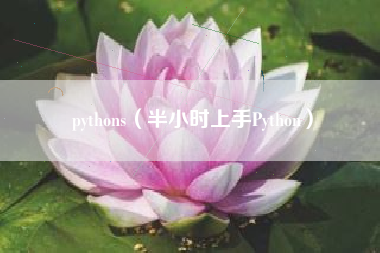 pythons（半小时上手Python）