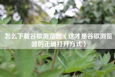 怎么下载谷歌浏览器（这才是谷歌浏览器的正确打开方式）