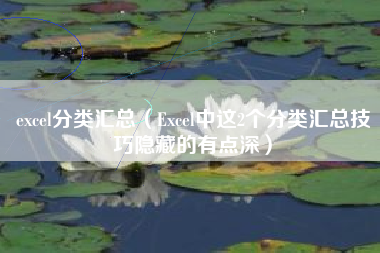 excel分类汇总（Excel中这2个分类汇总技巧隐藏的有点深）