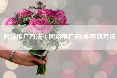 网站推广方法(网络推广的8种有效方法)