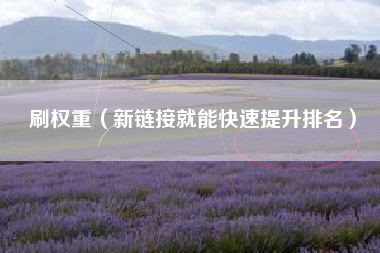 刷权重(新链接就能快速提升排名)