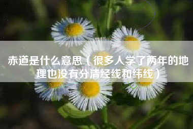赤道是什么意思(很多人学了两年的地理也没有分清经线和纬线)