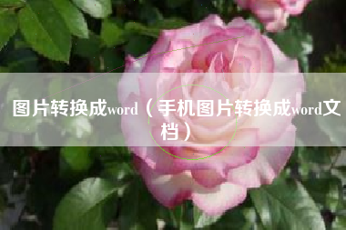 图片转换成word（手机图片转换成word文档）