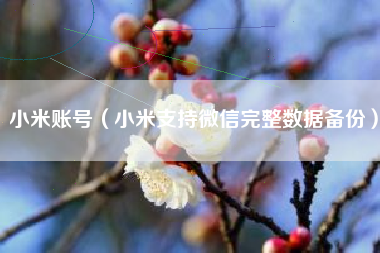 小米账号（小米支持微信完整数据备份）