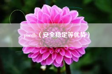 poedb（安全稳定等优势）