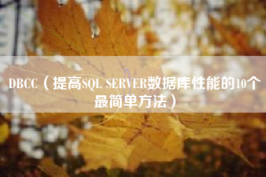 DBCC（提高SQL SERVER数据库性能的10个最简单方法）