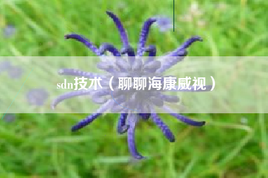 sdn技术(聊聊海康威视)