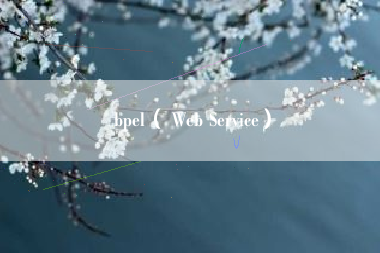 bpel( Web Service)