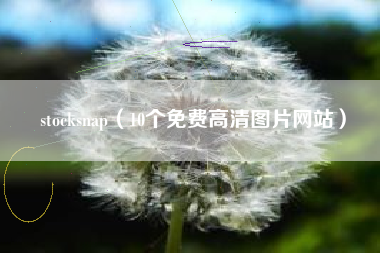 stocksnap（10个免费高清图片网站）