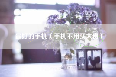最好的手机（手机不用买太贵）