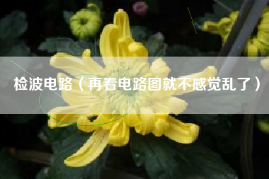 检波电路（再看电路图就不感觉乱了）
