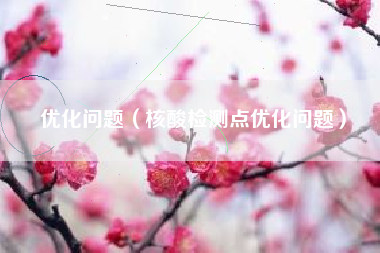 优化问题（核酸检测点优化问题）