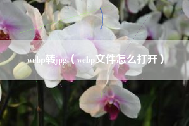webp转jpg（webp文件怎么打开）