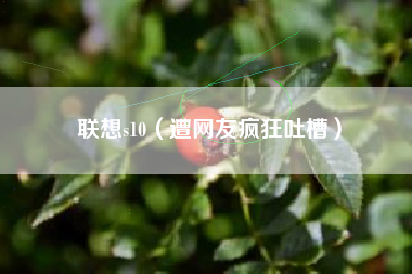 联想s10（遭网友疯狂吐槽）