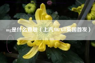 mg是什么意思（上汽MG GT英国首发）