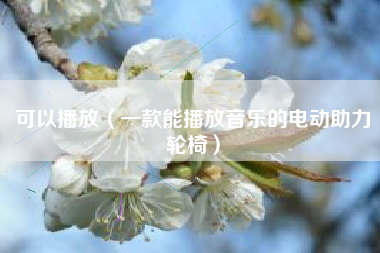 详细阅读:可以播放(一款能播放音乐的电动助力轮椅) 可以播放(一款能播放音乐的电动助力轮椅)