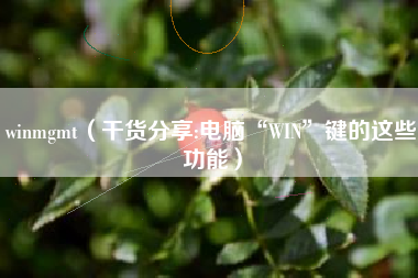 详细阅读:winmgmt(干货分享:电脑“WIN”键的这些功能) winmgmt(干货分享:电脑“WIN”键的这些功能)