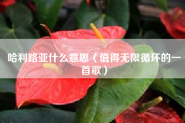 哈利路亚什么意思（值得无限循环的一首歌）
