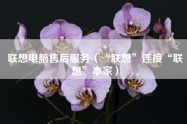 联想电脑售后服务（“联想”连接“联想”本家）
