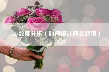 spss效度分析(如何设计问卷题项)