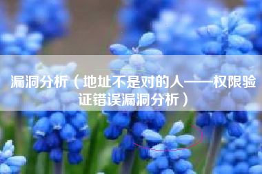 漏洞分析（地址不是对的人——权限验证错误漏洞分析）