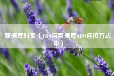 数据库对象（VBA与数据库ADO连接方式中）