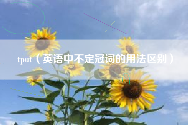 tput(英语中不定冠词的用法区别)