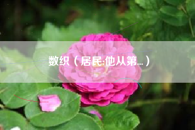 数织(居民:他从第...)