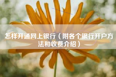 怎样开通网上银行(附各个银行开户方法和收费介绍)