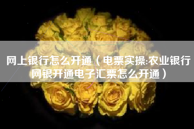 网上银行怎么开通（电票实操:农业银行网银开通电子汇票怎么开通）