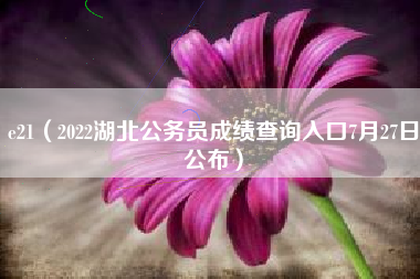 e21（2022湖北公务员成绩查询入口7月27日公布）
