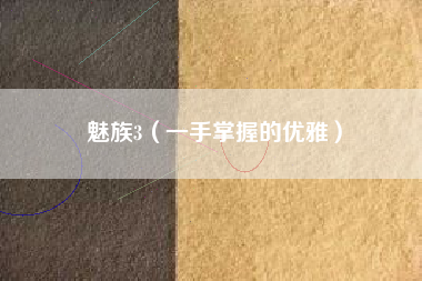 魅族3(一手掌握的优雅)