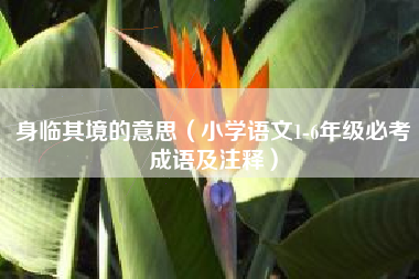 身临其境的意思(小学语文1-6年级必考成语及注释)