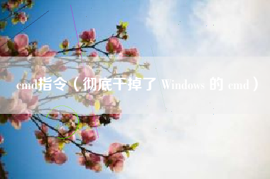 cmd指令(彻底干掉了 Windows 的 cmd)