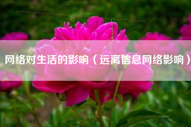 网络对生活的影响(远离信息网络影响)