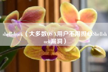 shellshock(大多数OS X用户不用担心Shellshock漏洞)
