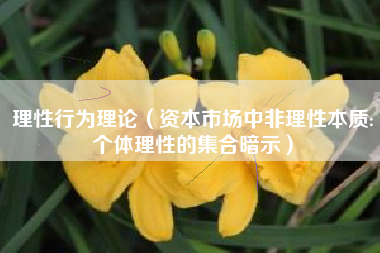理性行为理论(资本市场中非理性本质:个体理性的集合暗示)