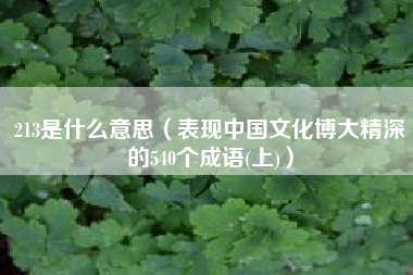 213是什么意思（表现中国文化博大精深的540个成语(上)）