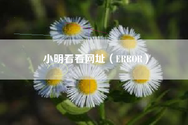 小明看看网址（ERROR）
