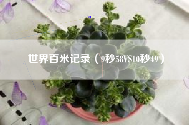 世界百米记录(9秒58VS10秒49)