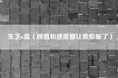东芝u盘(颜值和速度都让我膨胀了)