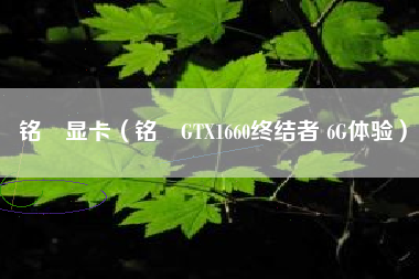 铭瑄显卡（铭瑄GTX1660终结者 6G体验）