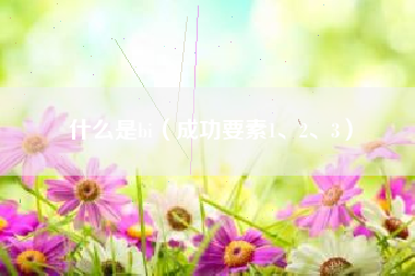 什么是bi（成功要素1、2、3）