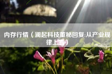 内存行情(澜起科技董秘回复:从产业规律上看)