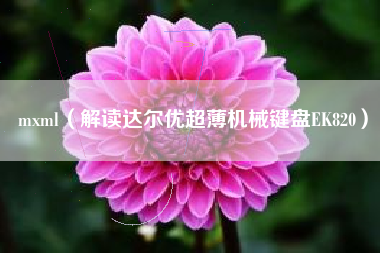 mxml（解读达尔优超薄机械键盘EK820）