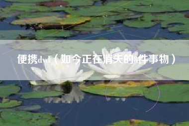 便携dvd(如今正在消失的8件事物)