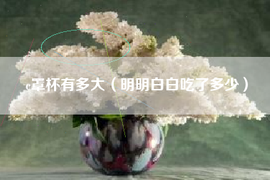 c罩杯有多大（明明白白吃了多少）