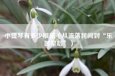 小提琴有多少根弦(从流落民间到“乐器皇后”)