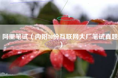 阿里笔试（内附80份互联网大厂笔试真题）